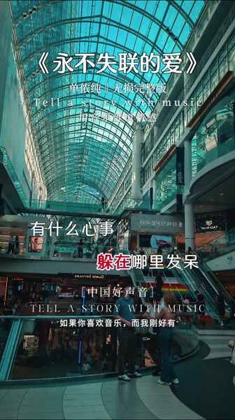 永不失联的爱 单依纯