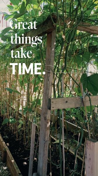 Great things take time 